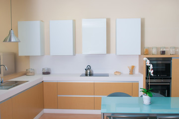 Fototapeta na wymiar modern kitchen in a modern house