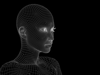 Conceptual wireframe mesh woman face