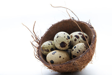 Quail eggs in coconut nest on white background