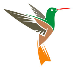 Buff-bellied Hummingbird