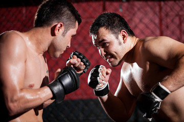 MMA fighters during a match
