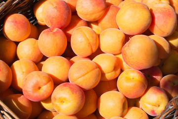 Ripe Apricot in a basket