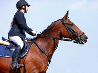 The sportswoman on a sports red horse.