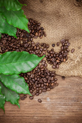 Coffee beans over wood background