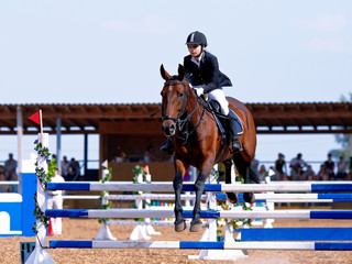 Competitions on a show jumping.