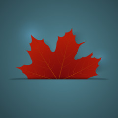 Red maple leaf on a blue background
