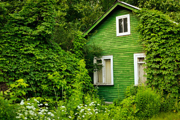 Green cottage