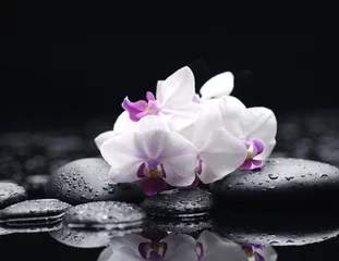 Foto op Canvas Branch white orchid flower and stone with water drops © Mee Ting