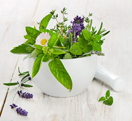 Mortar with fresh herbs