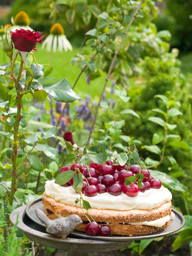 Canvas Prints cherry pie