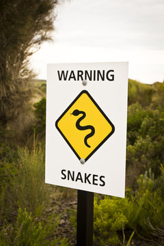 Warning snakes