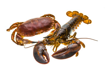 Raw Lobster and Crab