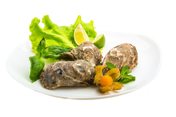 Fresh oyster