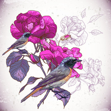 Fototapeta Kwiatowy tło z ptaków