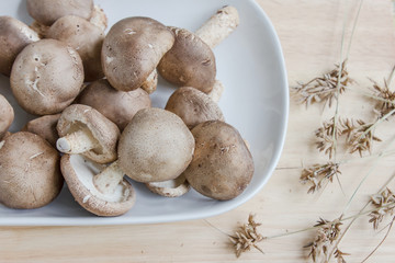 mushroom