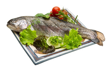 Fresh raw rainbow trout