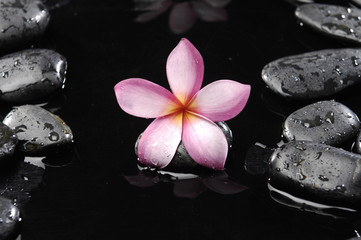Obraz na płótnie Canvas frangipani with therapy stones