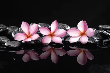 Fotobehang Set of frangipani and black pebbles © Mee Ting