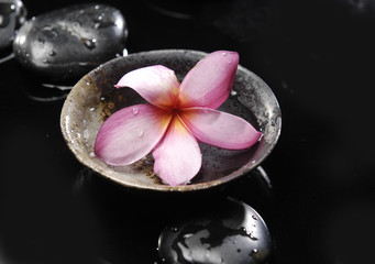 single frangipani in bowl on pebbles