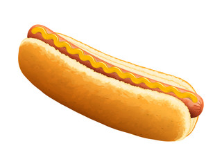 Hot dog with mustard. Vector illustration.