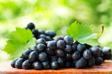 grape with leaves