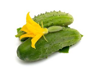 fresh cucumbers isolated on white background