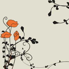 tulipe orange traits