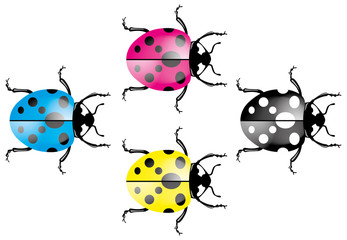 Obraz premium Marienkäfer - CMYK