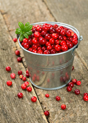 cowberrie in a bucket on wooden surface