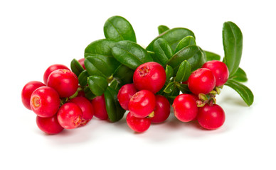 cowberries isolated on white background