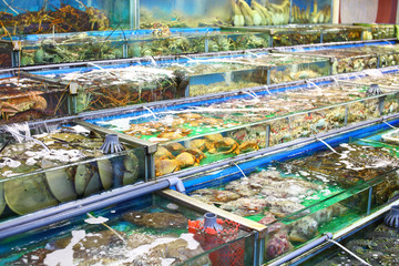 Seafood market fish tank in Hong Kong