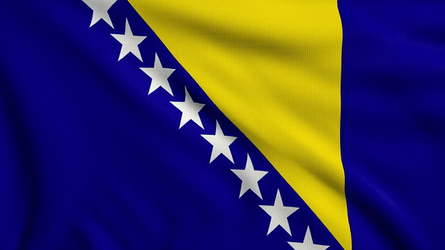 Flag of Bosnia and Herzegovina looping