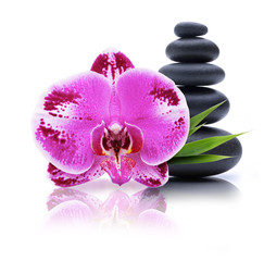 Orchidee mit Kieselsteinen