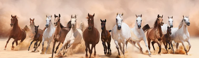 Rolgordijnen Paard Een kudde paarden die op de zandstorm rennen