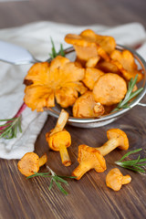 Chanterelles