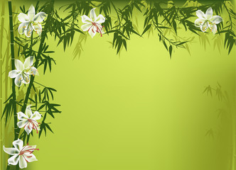 white flowers and green bamboo