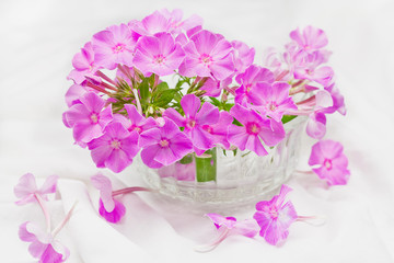 Obraz na płótnie Canvas Flowers in a vase.