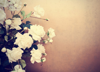 White roses, retro tinted photo
