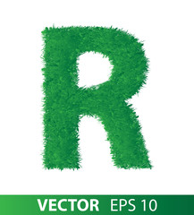 alphabet of green grass