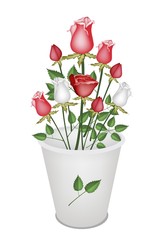 A Lovely Rose's Bouquet in White Bucket