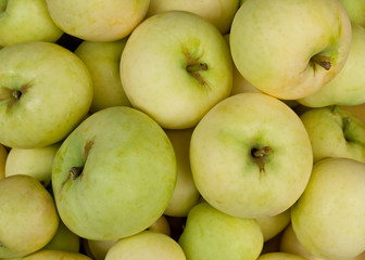 Apples
