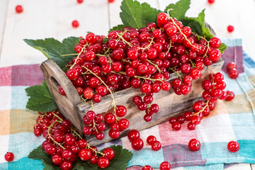 Fresh Red Currants in a box