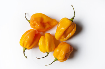 Habaneros