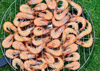 grilled shrimps on the barbecue