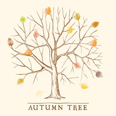 Vintage autumn tree with colorful leaves