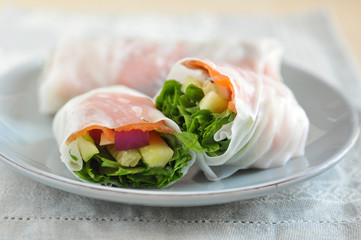 Asiatische Reispapier Rollen mit Lachs