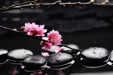 Gordijnen Zen kiezels. Stone spa, kersenboomtak © Mee Ting