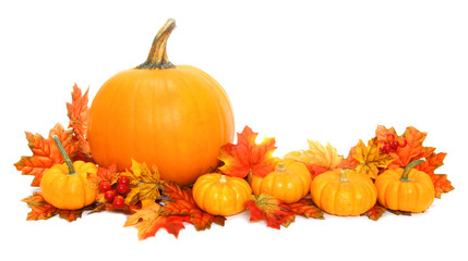 Autumn arrangement of pumpkins with red leaves - obrazy, fototapety, plakaty