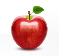Vector red apple isolated