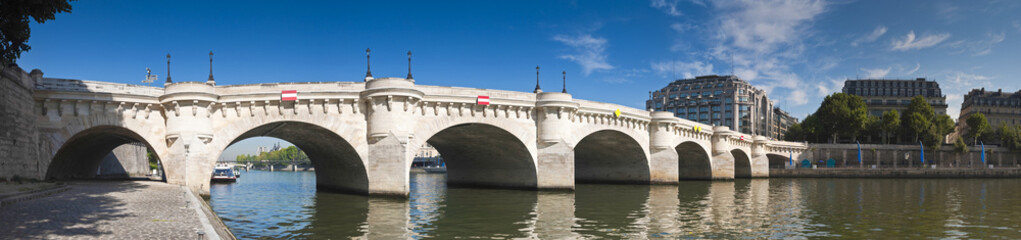 Fototapeta na wymiar Pont Neuf, Paris